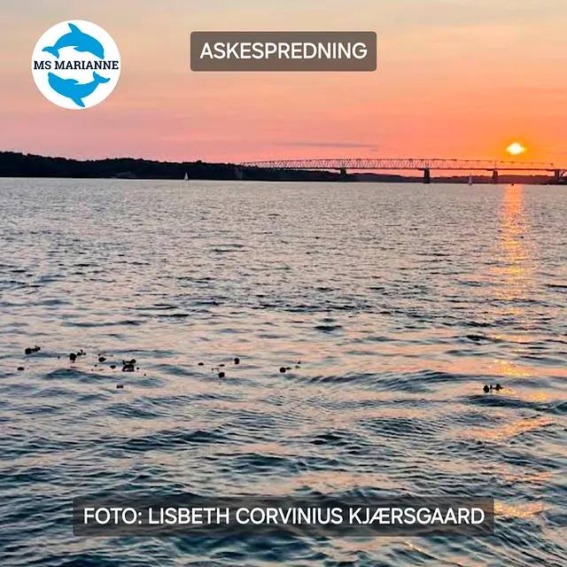 Askespredning på Lillebælt