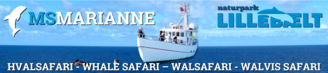 Whale Safari width MS Marianne
